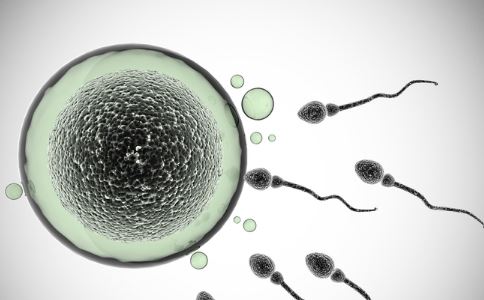 如何保护精子 保护精子有什么方法 哪些行为会伤害精子